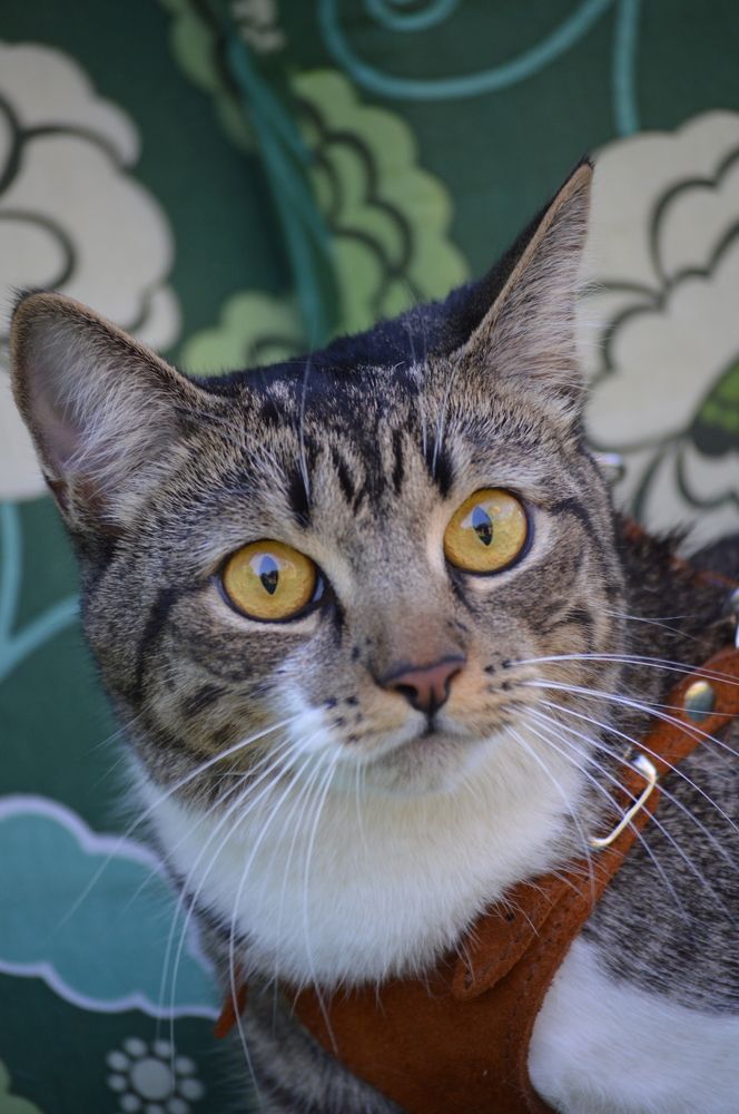 Photograph by Pavel Statsenko