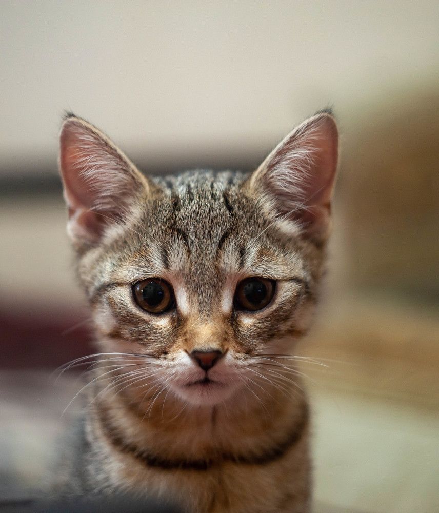 Photograph by Вадим Басов