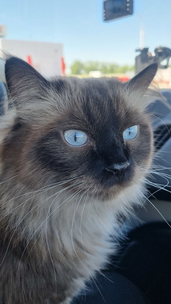 Фотография автора Марина Карасева