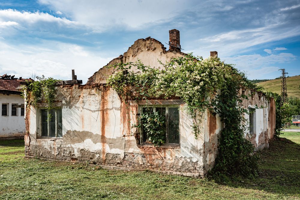 Фотография автора Елена Караилиева