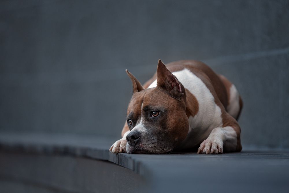 Фотография автора Мария Тигунова