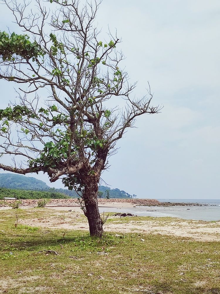 Photograph by Meilany Wijaya