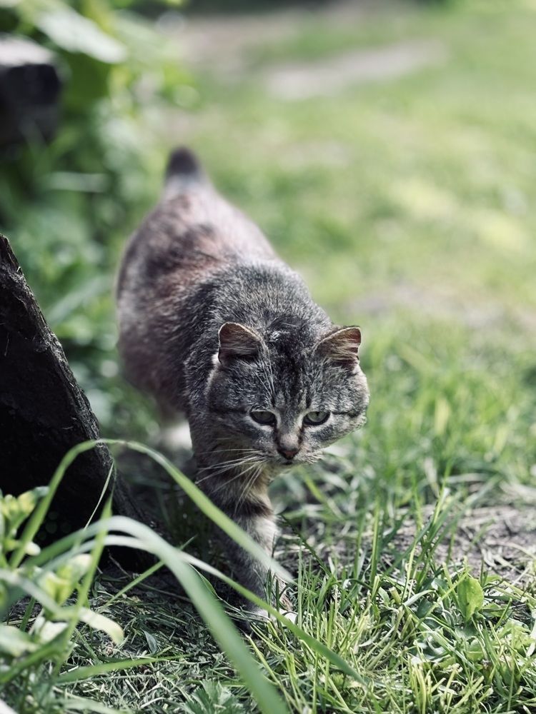 Photograph by Halina Mitsevich