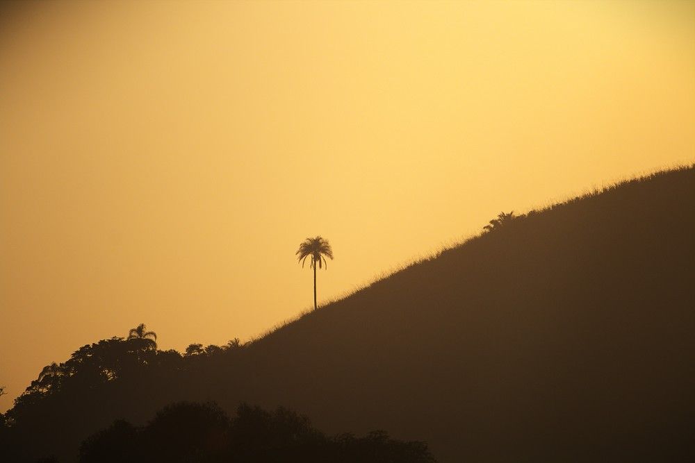 Photograph by Marie G