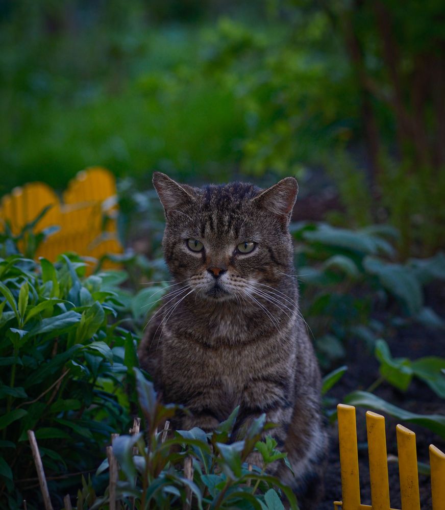 Photograph by Лазарев Евгений