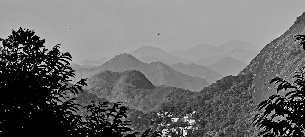 Photograph by Marie G