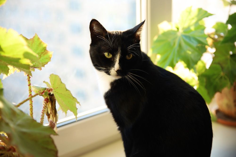 Photograph by Людмила Прокофьева