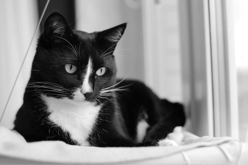 Photograph by Людмила Прокофьева