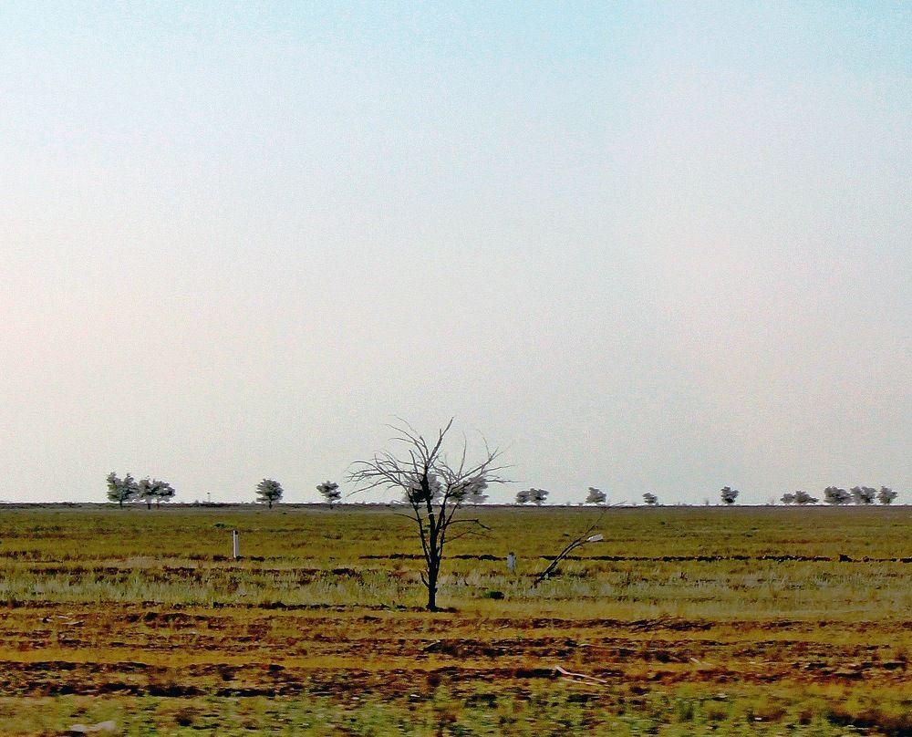 Photograph by Александр Бугаенко