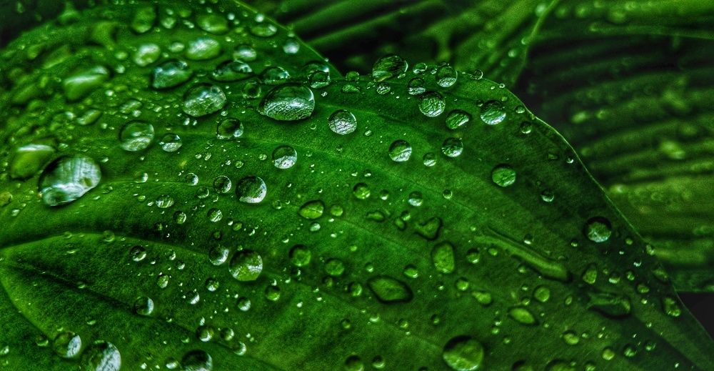 Фотография автора Валерия