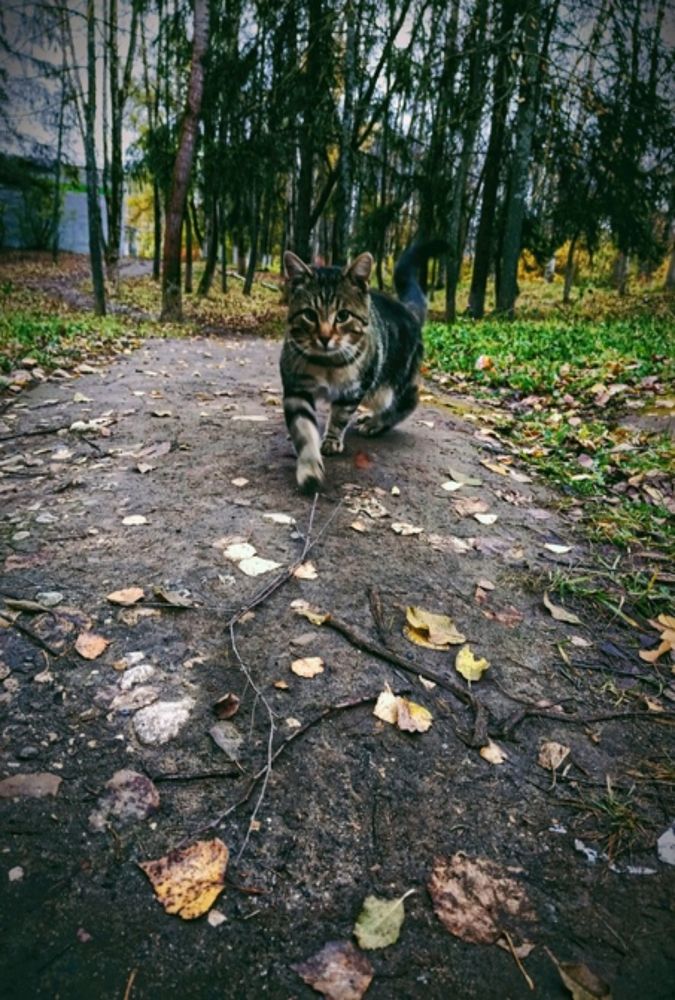 Photograph by Евгения Квятковская