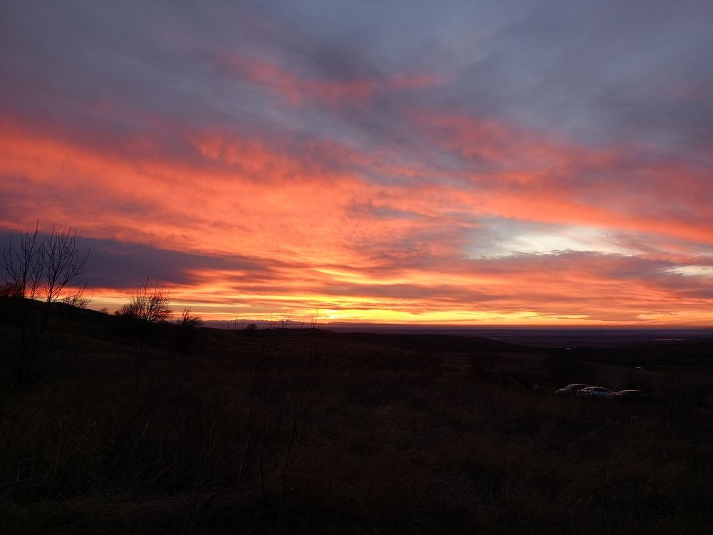 Photo #10713373
