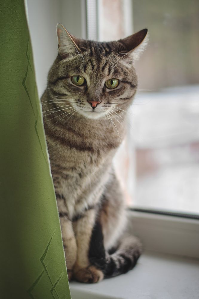 Photograph by Марина Максимовых