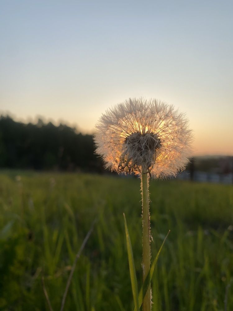 Photograph by Наталья Алина