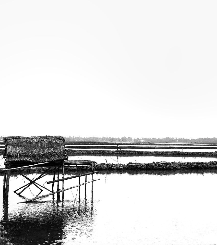 Фотография автора Biplab Bhuia