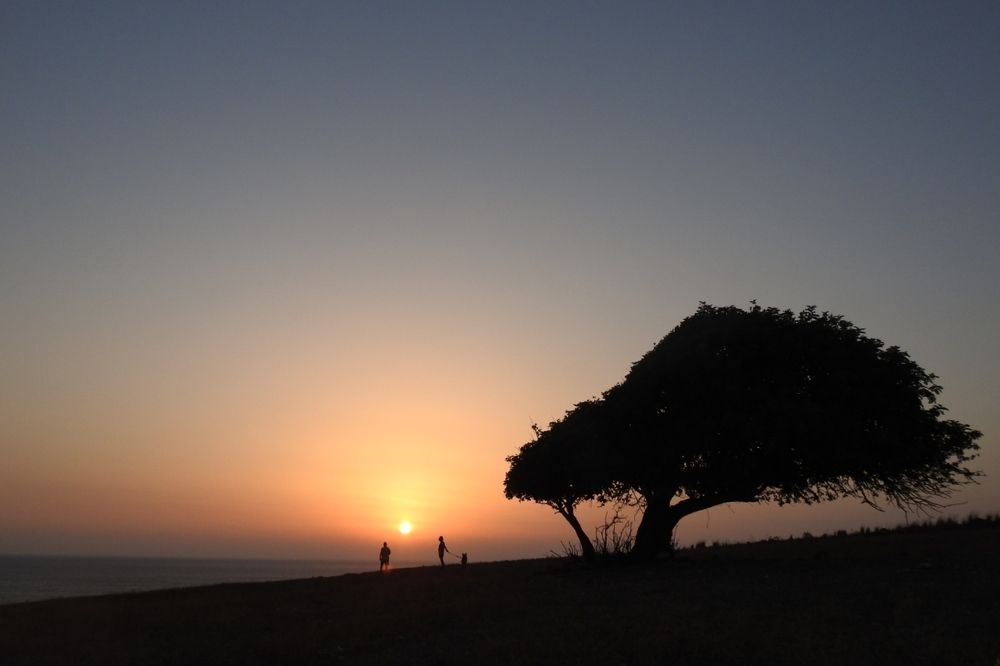 Photograph by fuat cimok