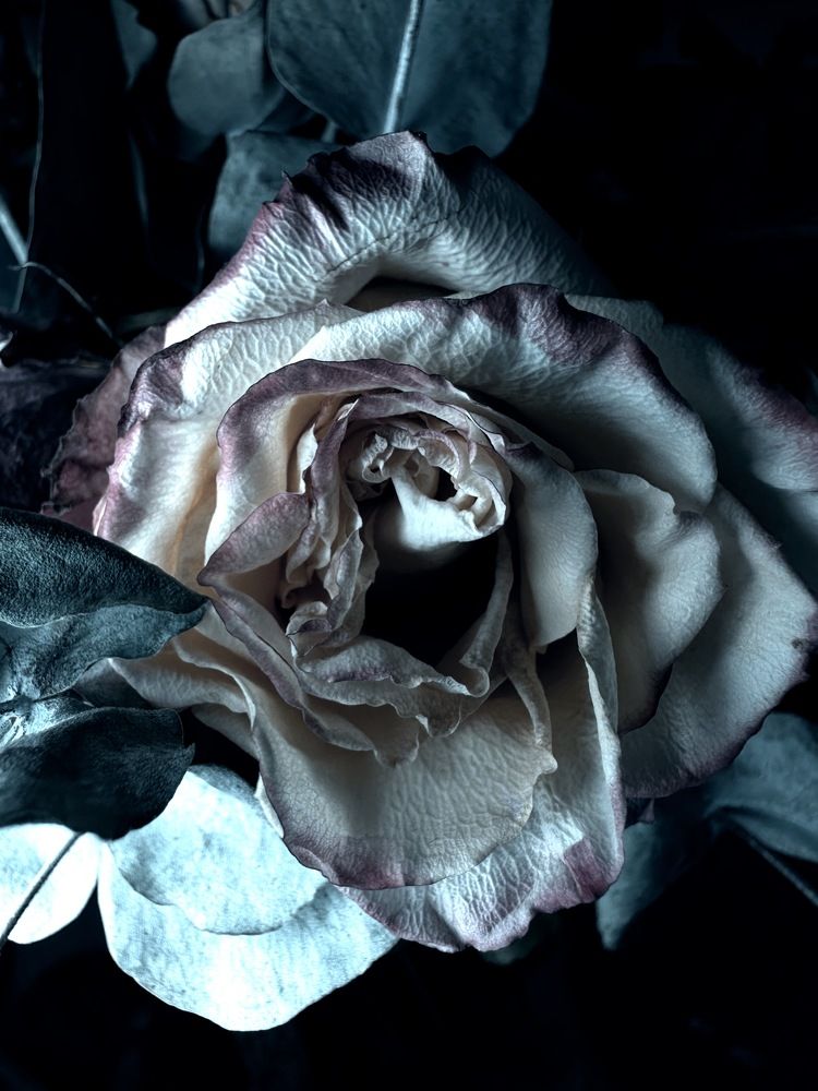 Photograph by Денис Нарышев