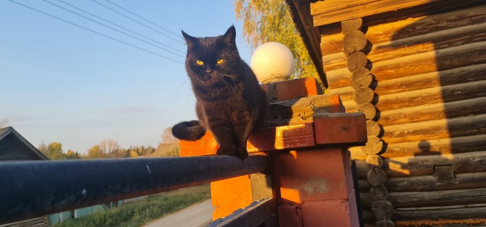 Photograph by Артем Коротаев