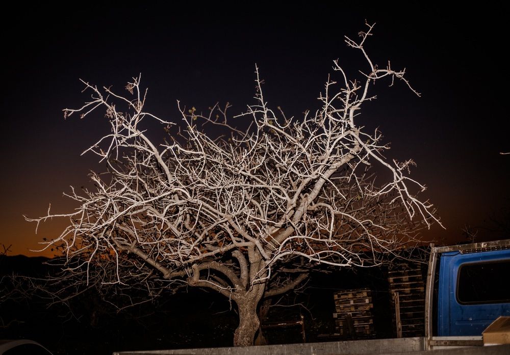 Photograph by irene Athanasiadi