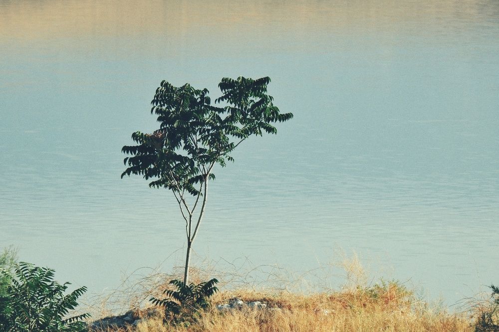 Photograph by fuat cimok