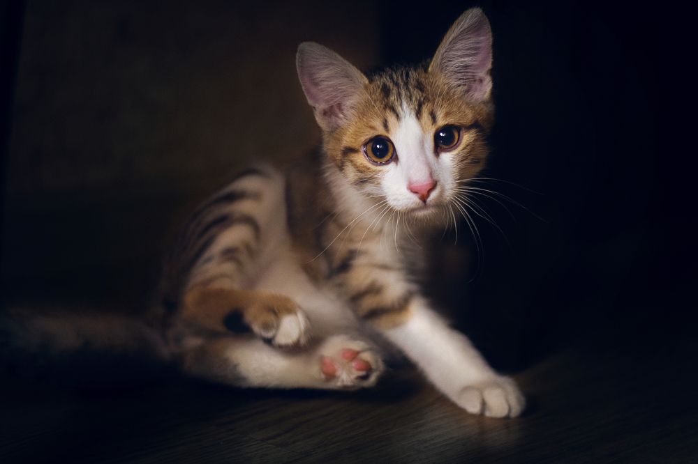 Photograph by Марина Максимовых