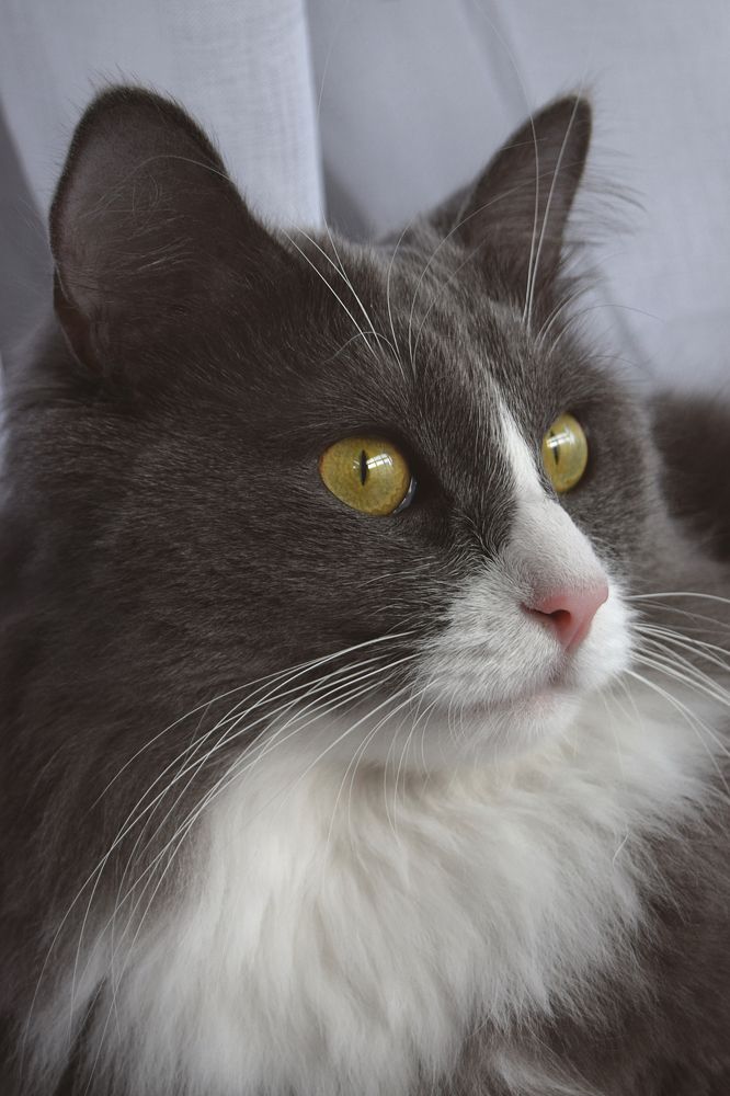 Photograph by Марина Максимовых