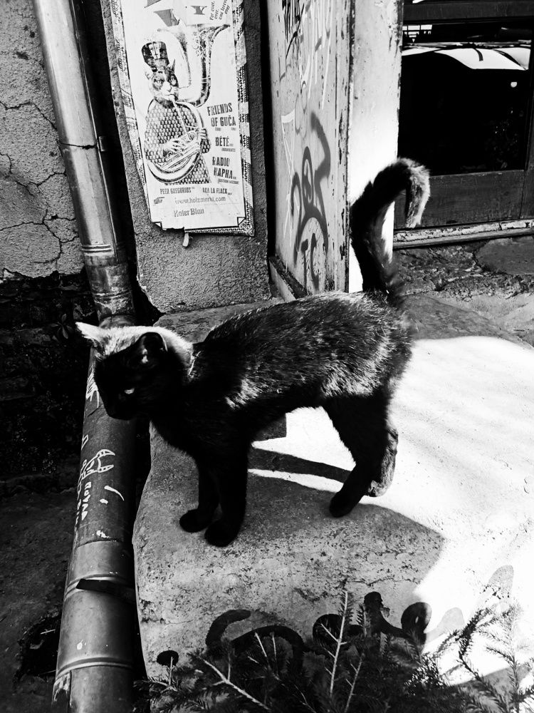Photograph by Юлия Гришина