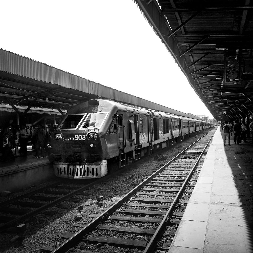 Photograph by Tharusha Dilshan