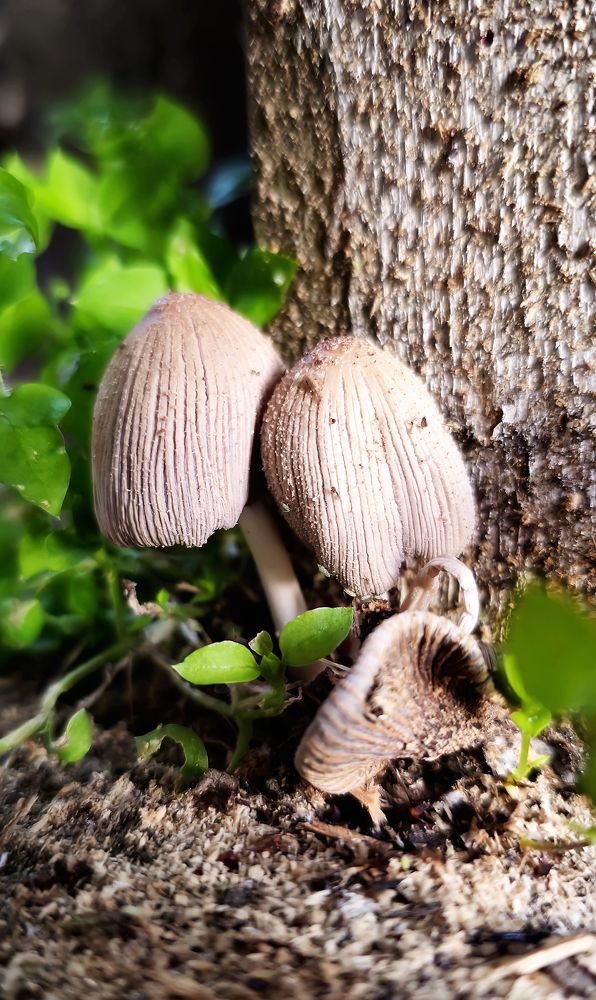 Photograph by Тамара Киреева