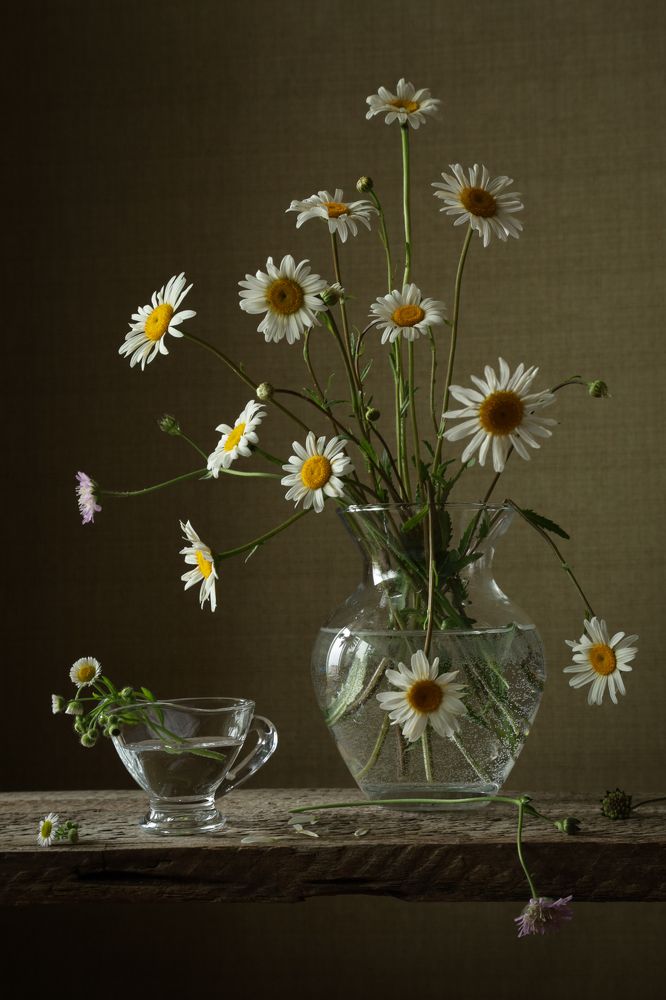 Привет, ромашки!