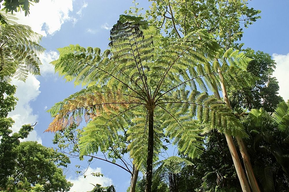 Фотография автора Jose Otero