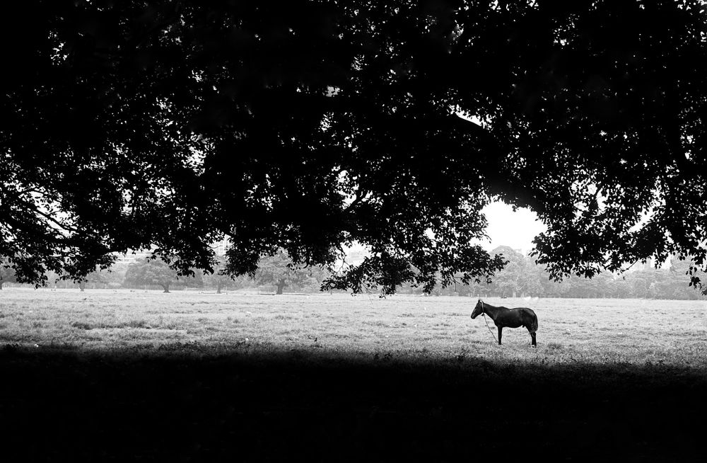 waiting  for infinity.