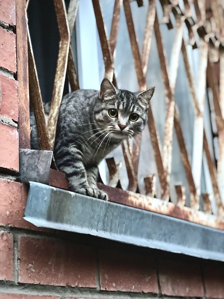 Photograph by Oxana Petlina