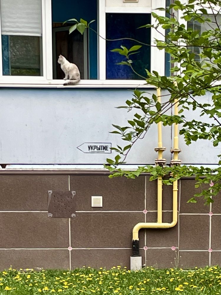 Photograph by Ольга Дорошенко