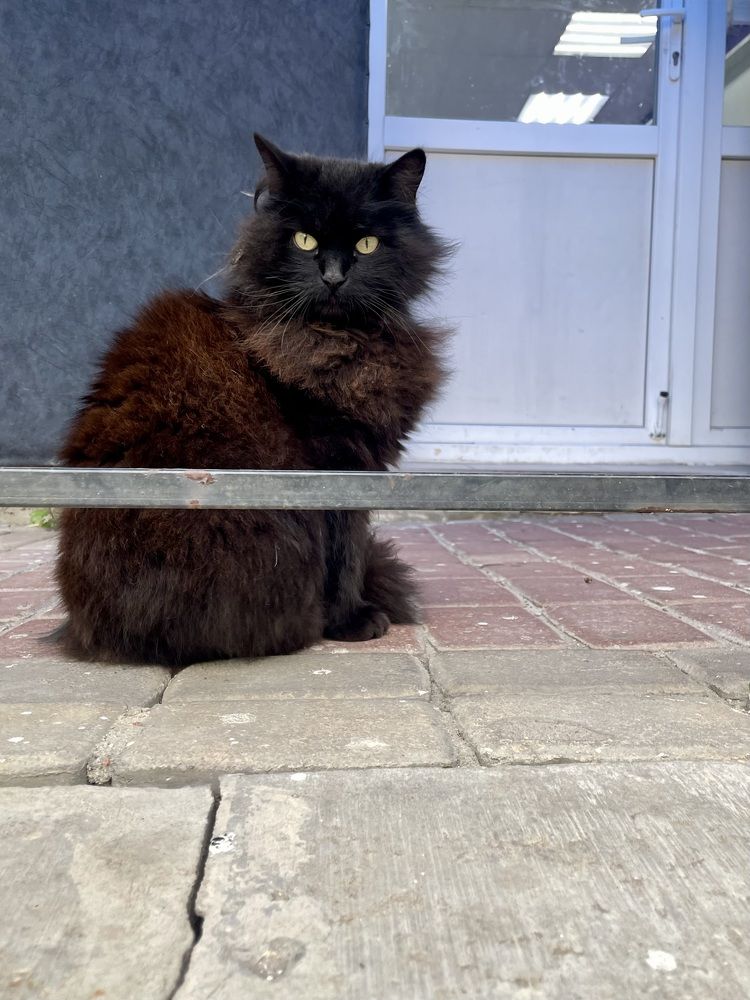 Photograph by Ольга Дорошенко