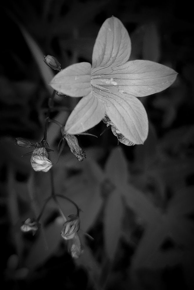 Photograph by Елена Попова