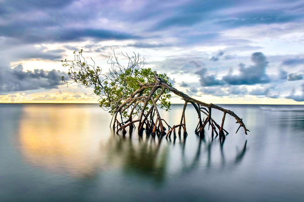 Confesiones bajo el atardecer