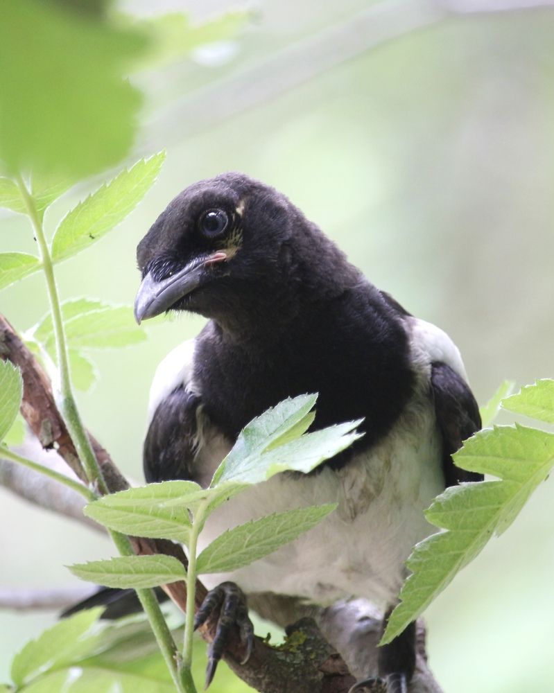 Photograph by Александр Затямин