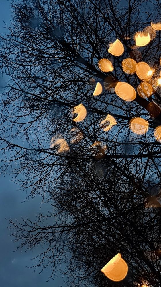 Photograph by Oxana Petlina