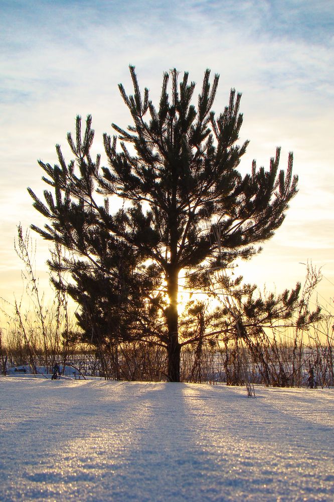 Photograph by Герман