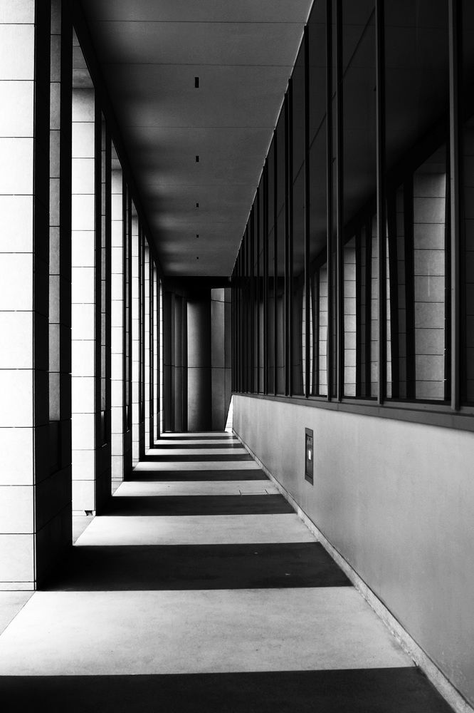 Photograph by Luisa Martina Hernández