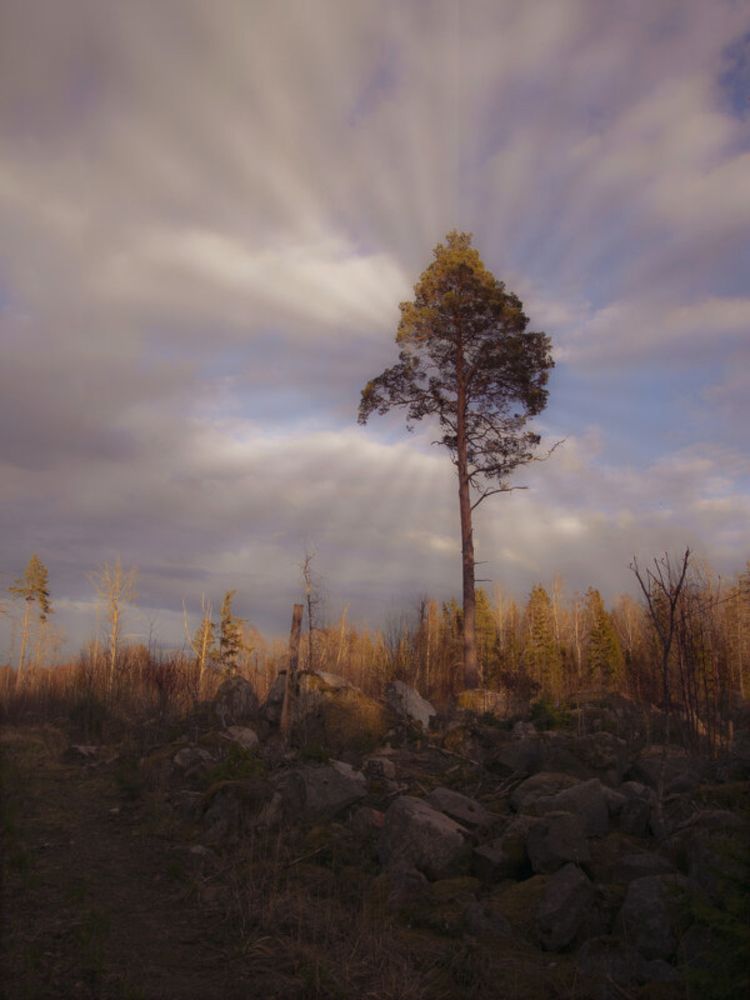 Photograph by Liudmila Drake