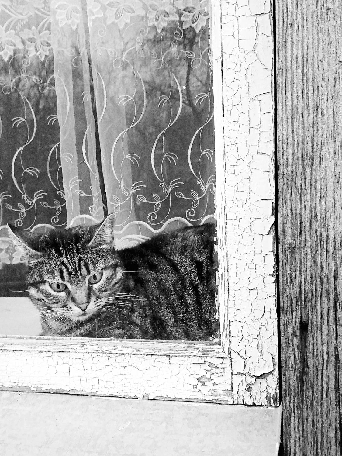 Photo #10713839