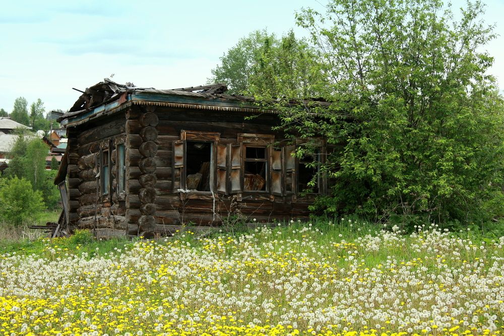 Фотография автора Nelya  Lysenko