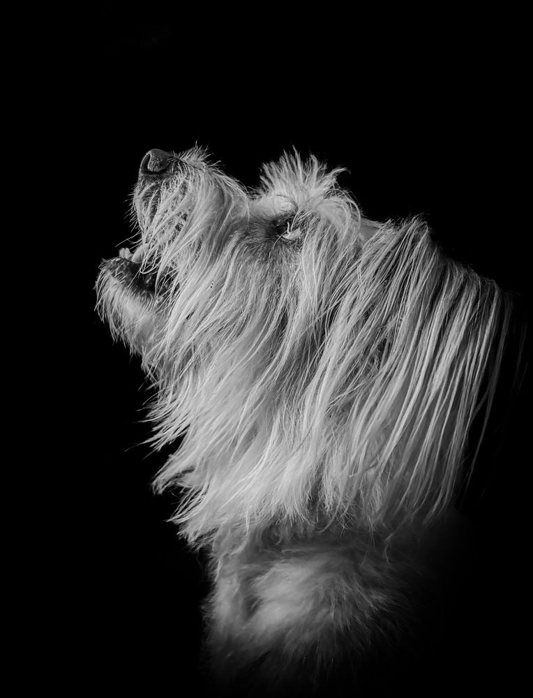 Photograph by Rakesh