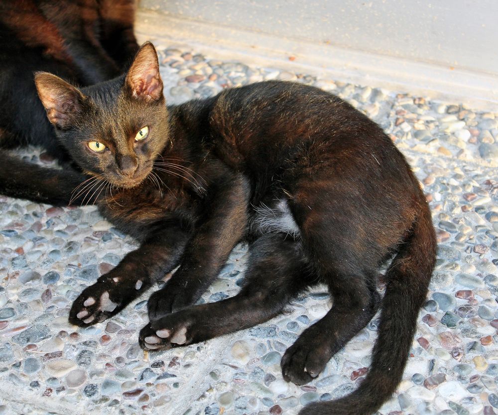 Photograph by Александр Бугаенко