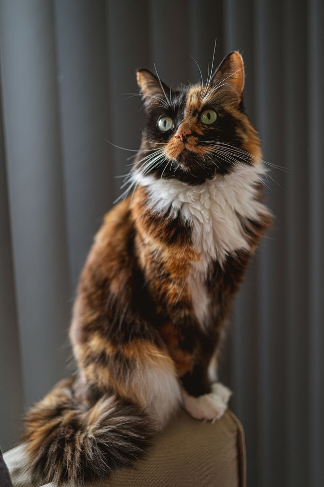 Photograph by Veslava Kaslej