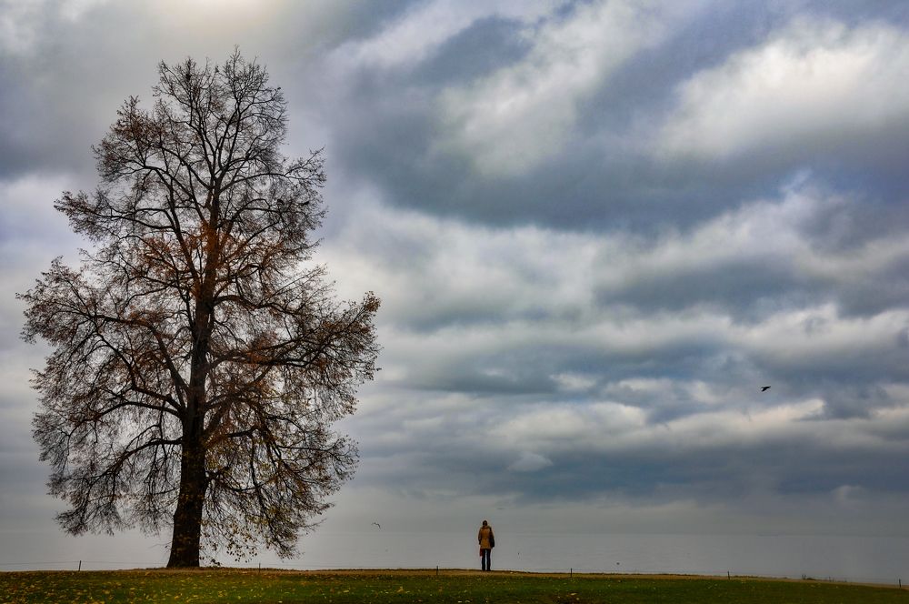 Фотография автора Ковяк Сергей Васильевич