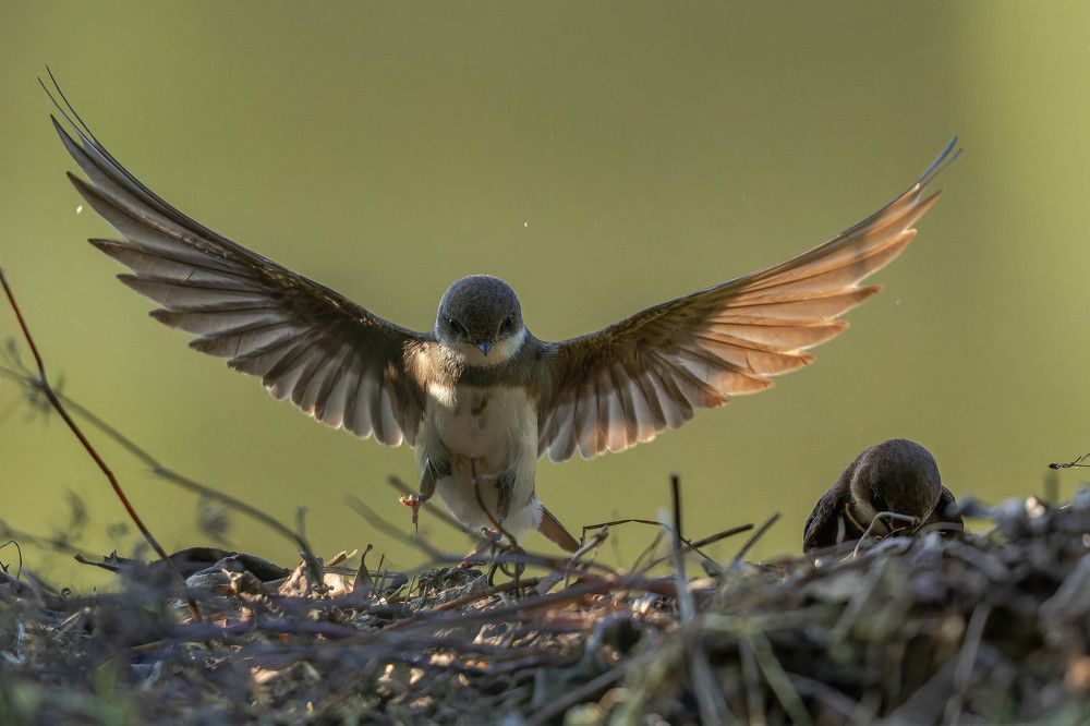 Photograph by George Alexandru Ghiuro