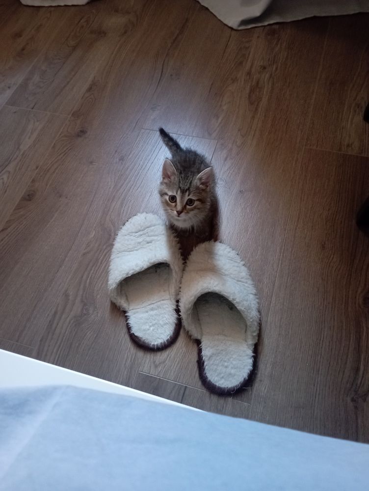 Фотография автора Natalia Khodina